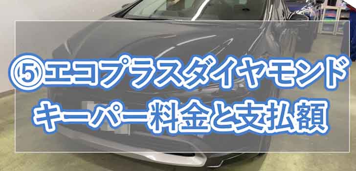 new-prius-car-coating06